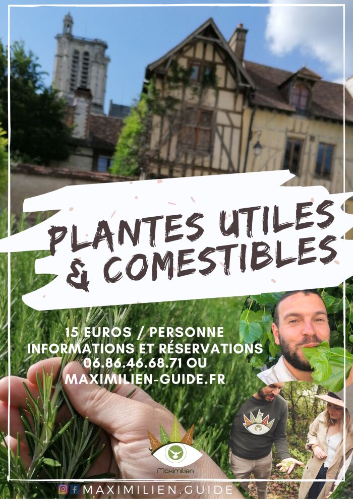 Plantes utiles et comestibles_Troyes © Maximilien Maire