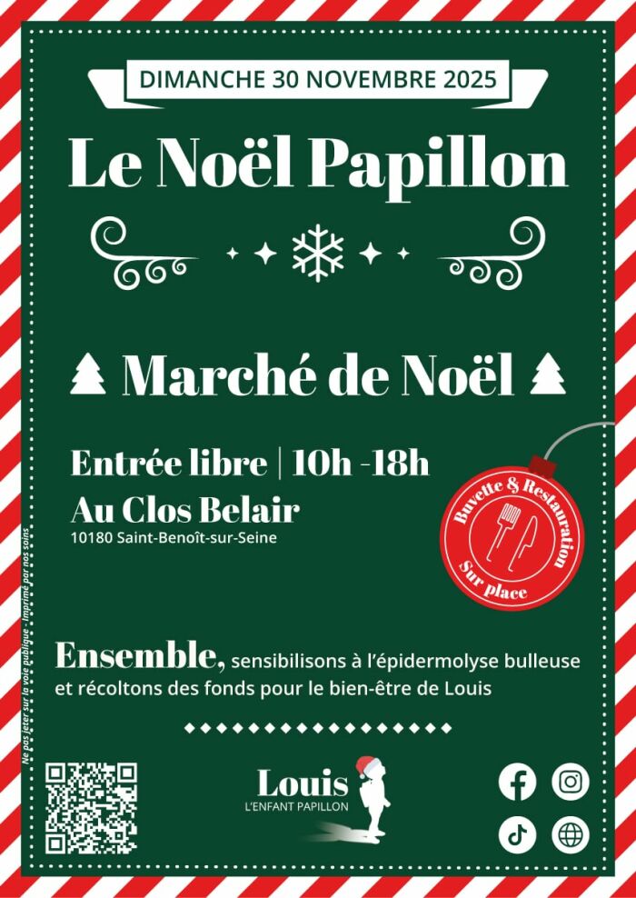 affiche marche de noël Asso Louis l'Enfant Papillon