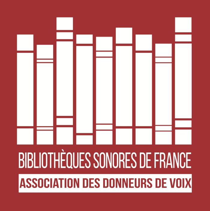 LOGO_BSF_2019_BRIQUE_MD_420Ko.jpg © La Bibliothèque sonore