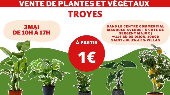 Vente de plantes et végétaux_Saint-Julien-les-Villas Plantes Addict