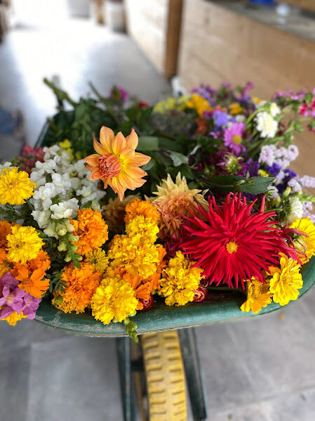 Brouette fleurs Cueillette de Troyes l'Espérance