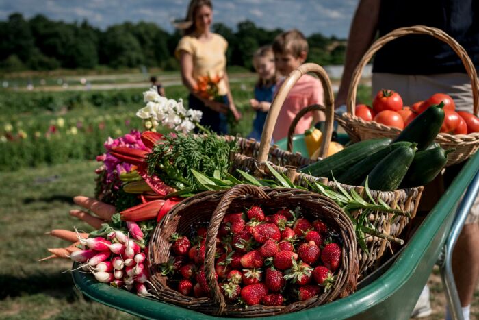 Brouette fruits et légumes Cueillette de Troyes l'Espérance