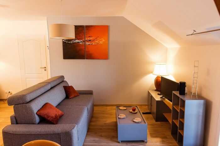 salon petit meslier.jpg droits réservés BonjourBnB