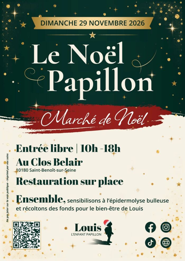 affiche marche de noël Asso Louis l'Enfant Papillon