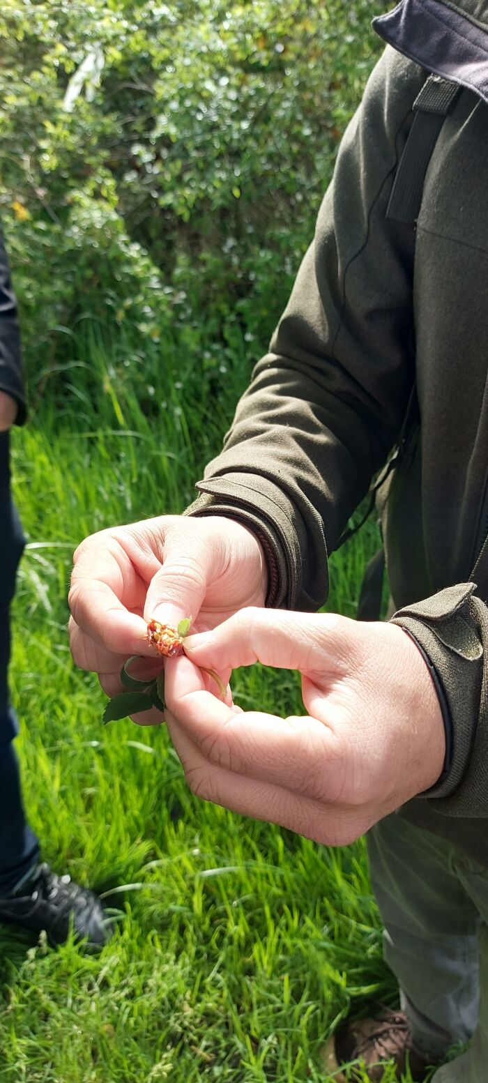 Visite nature - Balade champenoise_Troyes AG - Troyes La Champagne Tourisme