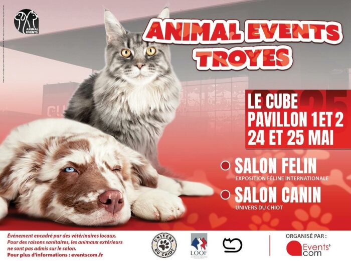 Animal Events_Troyes Events'com - © One society