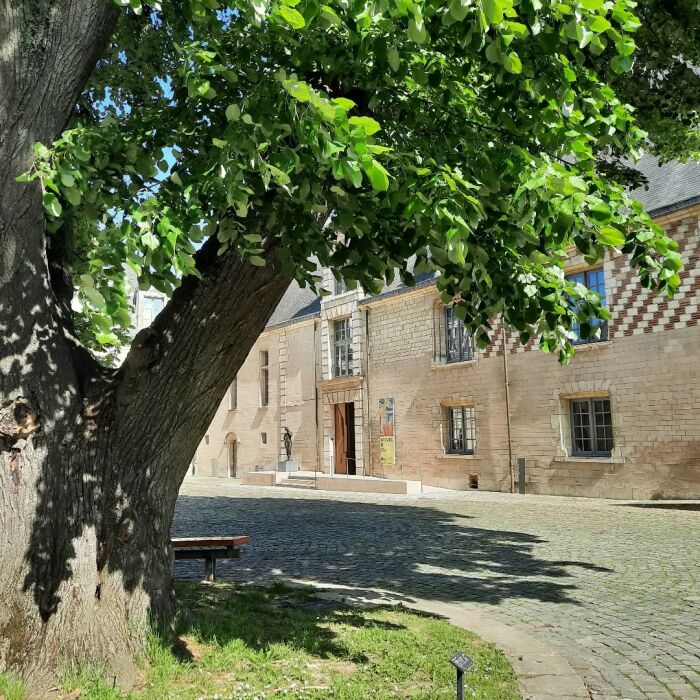 Visuel cour MAM © Ac.Somborn