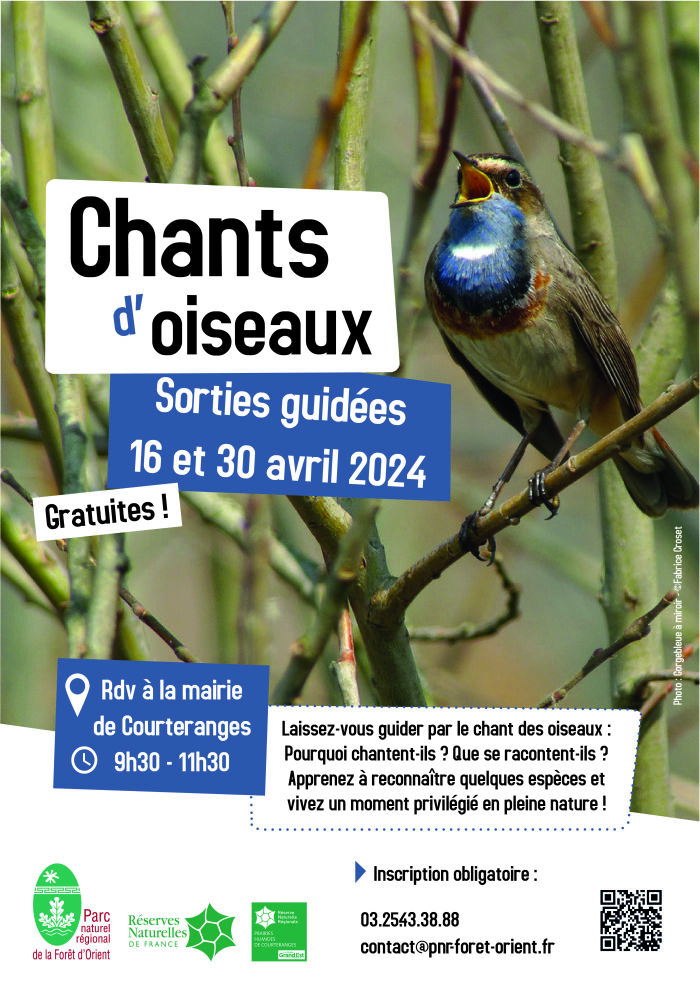 Chants d'oiseaux en réserve : Symphonie de Courteranges_Courteranges PnrFo