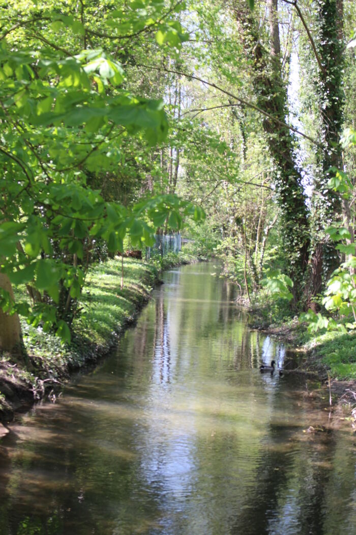 Flânerie - Le Jardin Mediéval de Rachi_Troyes Laetitia Dagard