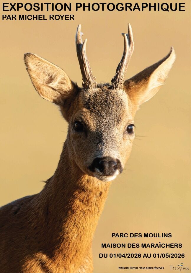 Exposition photographique par Michel Royer_Troyes Photo : ©Michel Royer
