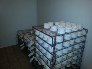 Chaource Fromagerie Pouillot