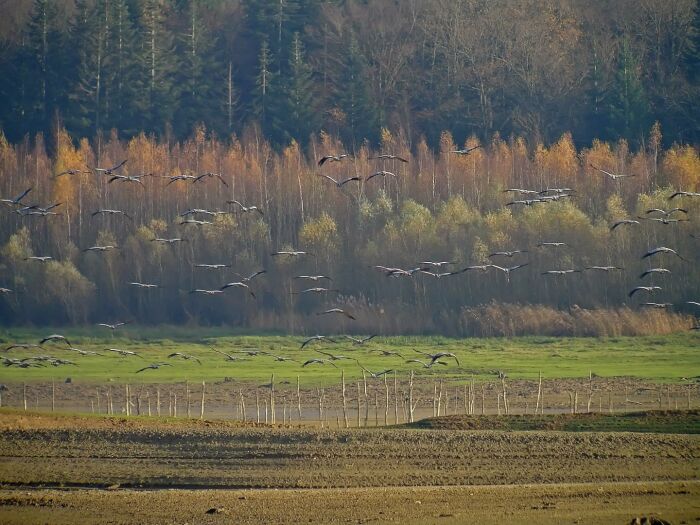 Au Clos de Marie ©Gîtes de France Aube