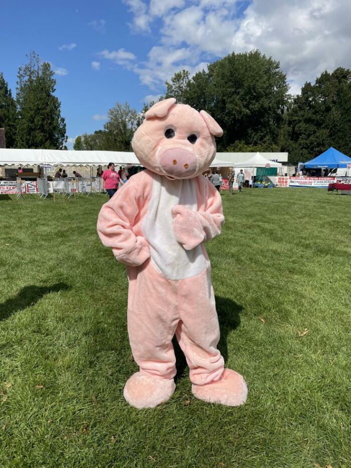 Mascotte AIOO