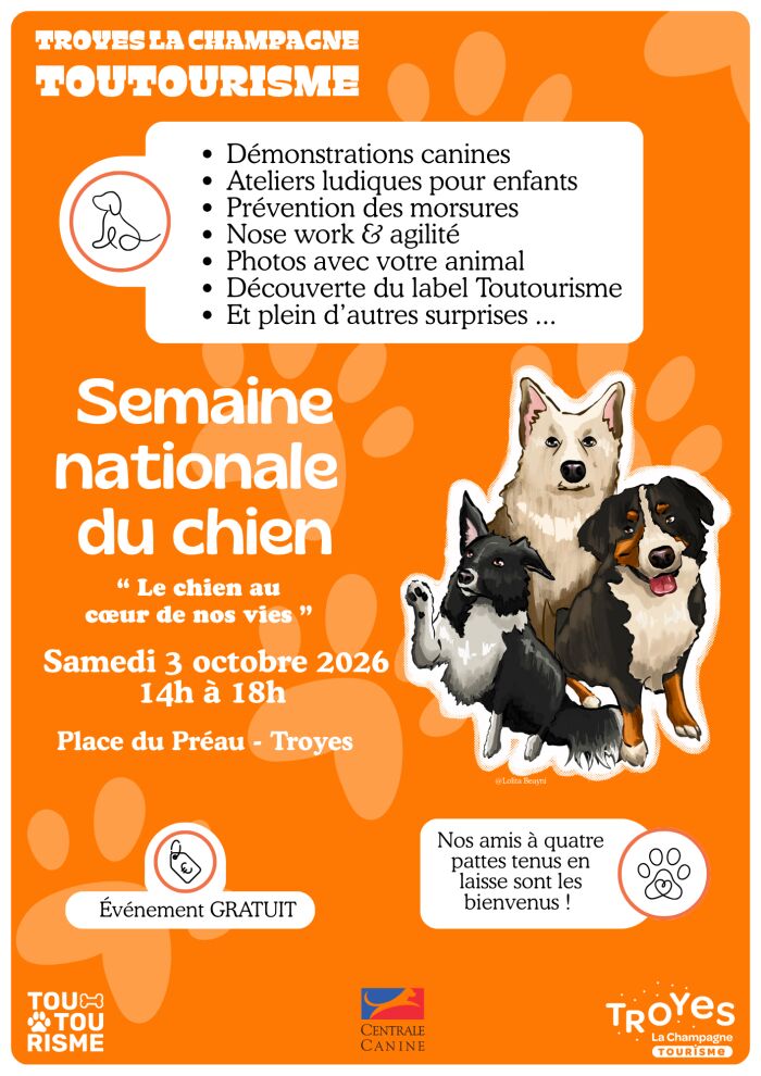 Affiche Officielle Troyes La Champagne Tourisme