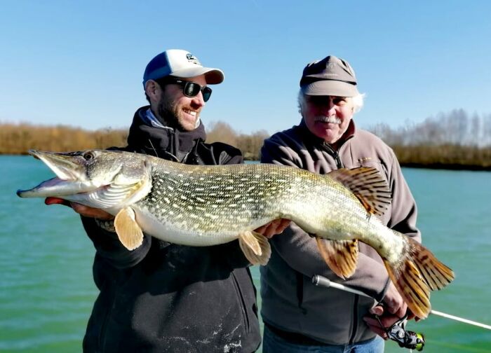 Brochet gravière © Stan Lejeune
