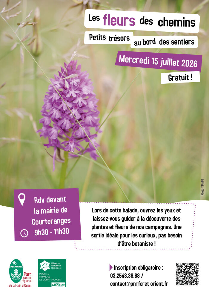 Les fleurs des chemins : Petits trésors au bord des sentiers_Courteranges ©PnrFO