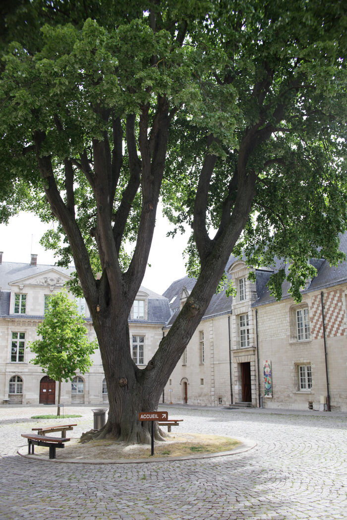 Cour MAM © A. Clergeot - Ville de Troyes