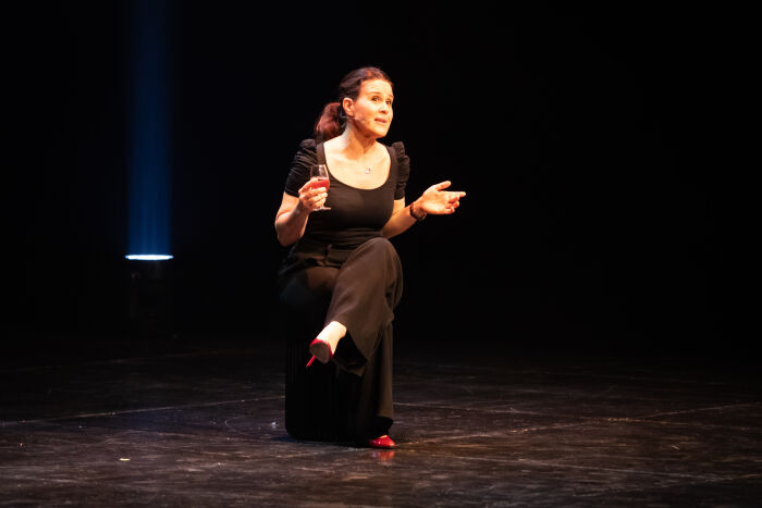 Scènes de corps et d’esprit_Troyes © Festival d'humour de Colmar_Antonia de Rendinger