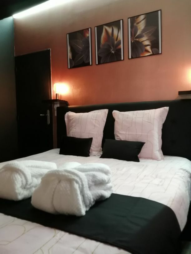 Appartement spa privatif « Le Gold Pink »