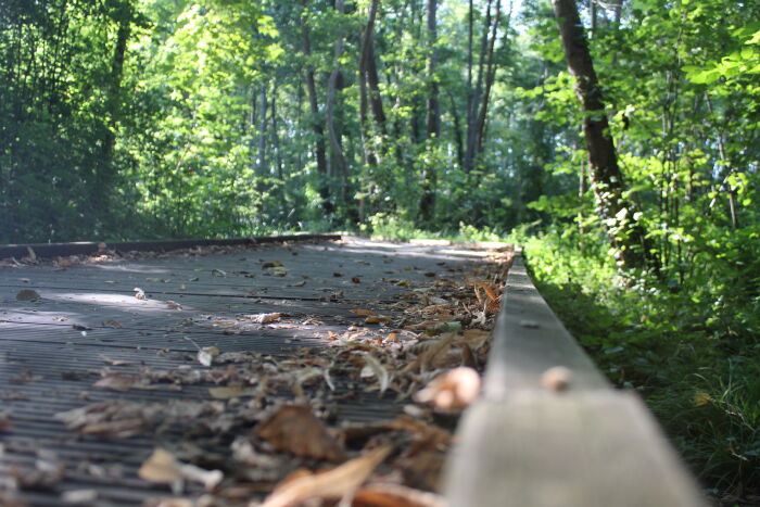 Randonnée troyenne_Troyes © Maximilien Maire