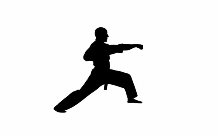 Association Sportive Verrières Judo