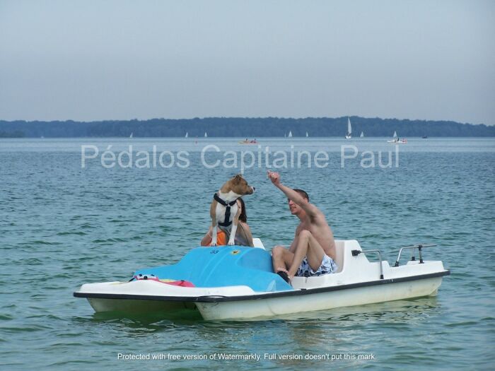 chien ok.JPG Paul Capitaine / Pédalos Capitaine