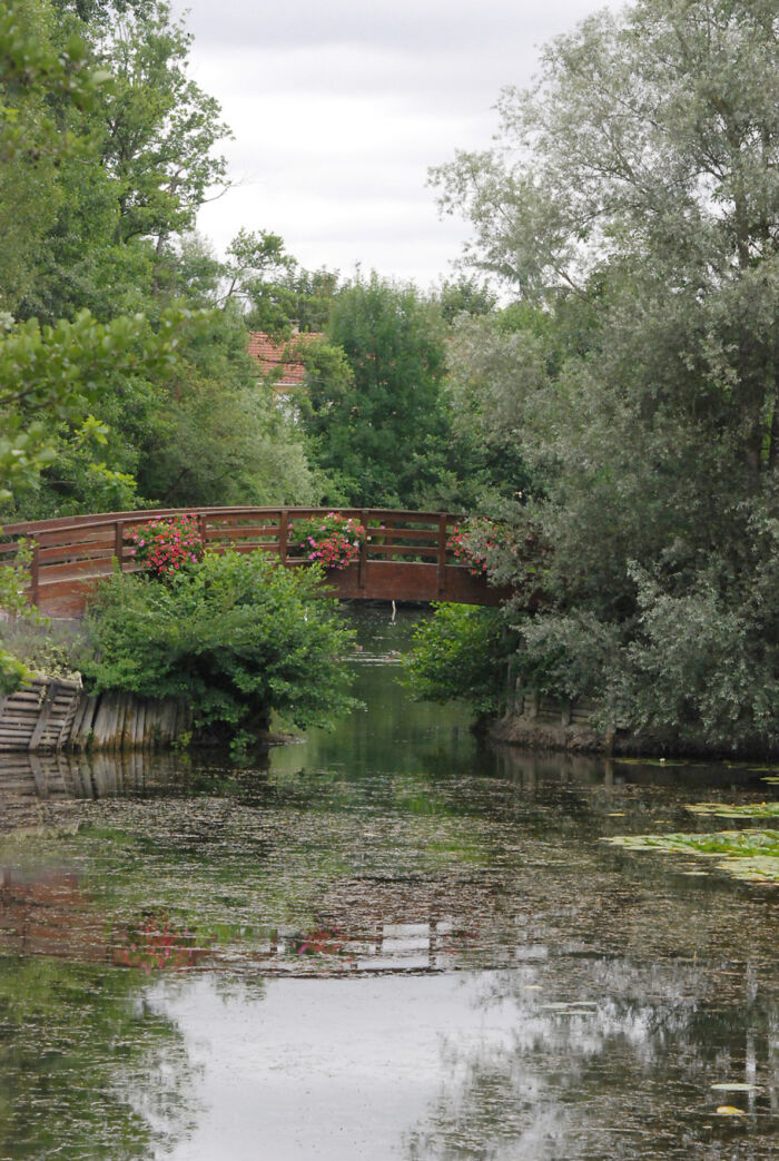 Photo_2.jpg Parc Pierre Pitois