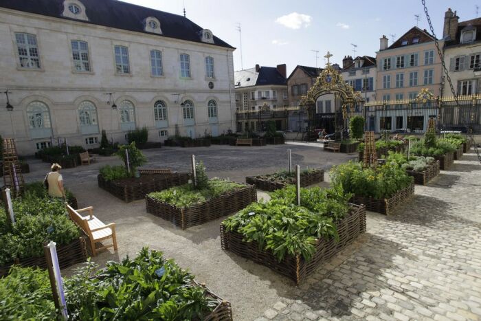 Le jardin des plantes médicinales