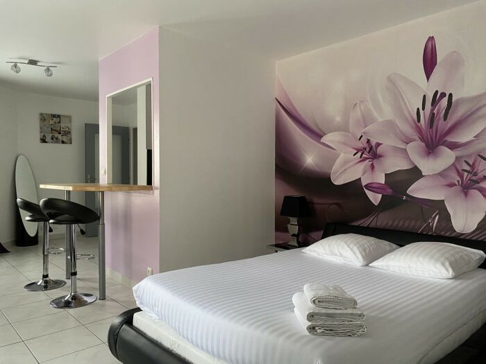 Studio.jpg Appartements du Cirque