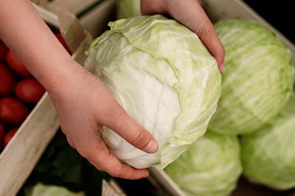un personne qui prends un gros chou vert provenant d'une cagette