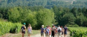 Walking trails