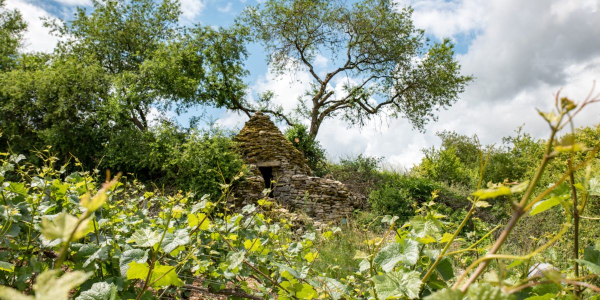 Cadoble au coeur du vignoble Cadole - © Olivier Douard