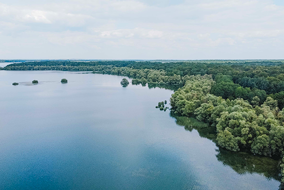 Parc naturel régional de la Forêt d'Orient