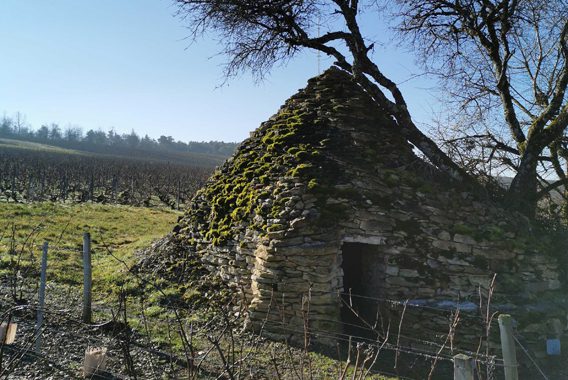 cadoles