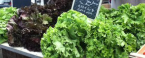 Les marchés de l’Aube Les marchés de l’Aube