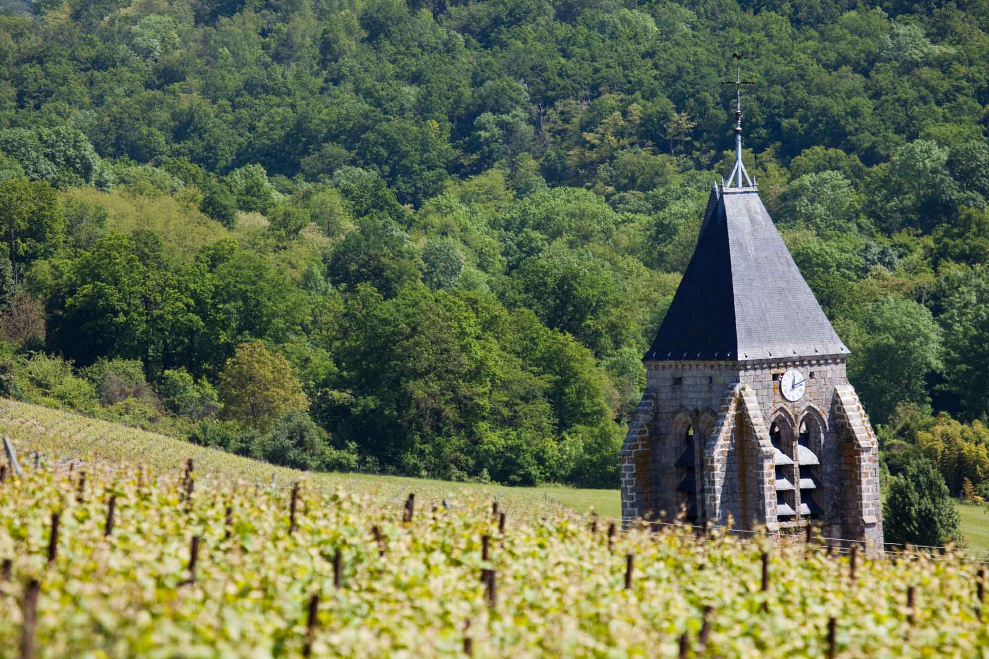 Un voyage culturel sur la Route Touristique du Champagne - Aube Champagne