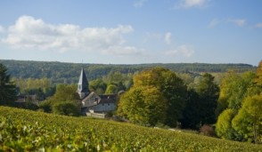 Visit the Côte des Bar and its Champagne route