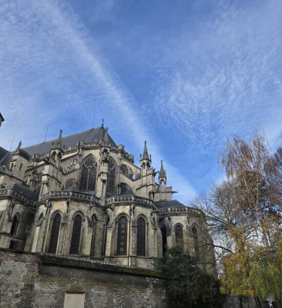 WhatsApp Image 2026-03-04 at 17.00.38 WhatsApp Image 2026-03-04 at 17.00.38