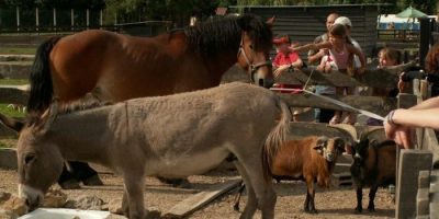 Ferme de la bechere