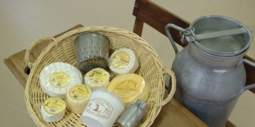 Fromages Fromages