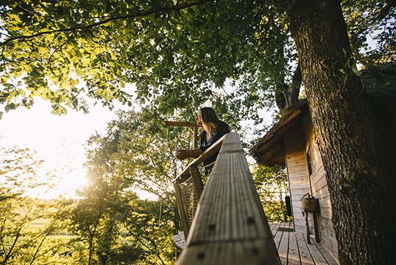 cabane orient credit clara