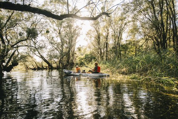 Kayaking in the forest