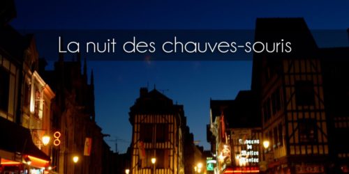 la nuit des chauves souris la nuit des chauves souris