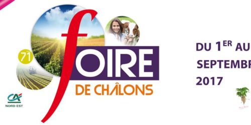 foire de chalons foire de chalons