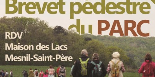 affiche-40ème-BP-compressée affiche-40ème-BP-compressée