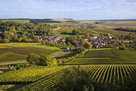 Champagne villages