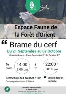 Brame du Cerf