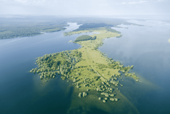 Pointe de Charlieu - Lac du Temple (RNN de la Forêt d'Orient) - Pascal Bourguignon