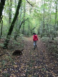 Sortie cavage dans les bois