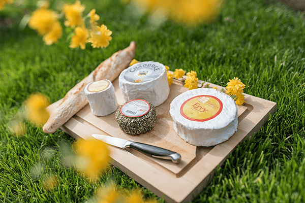 Chaource 4 - © Olivier Douard Planche de fromage Auboise avec une baguette, posé dans l'herbe